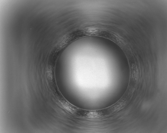 X0000060800562200511171244