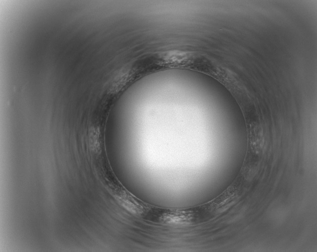 X0000060800563200511171245