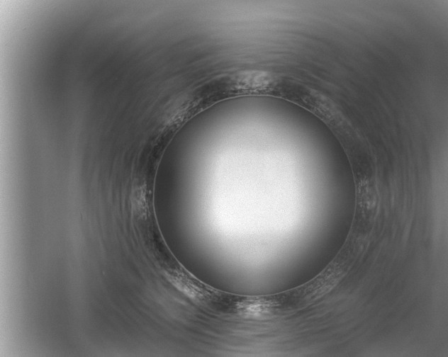 X0000060800564200511171245