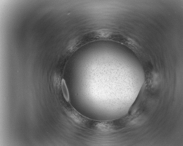 X0000060800568200511171245