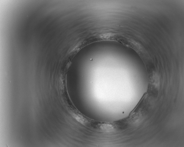 X0000060800572200511171245