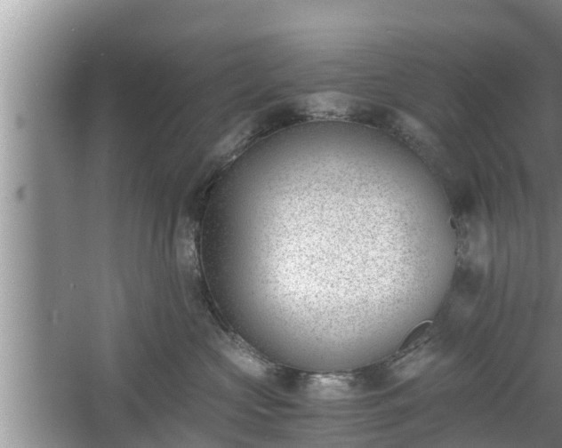 X0000060800573200511171245