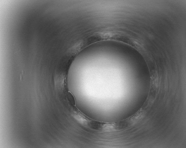 X0000060800574200511171245