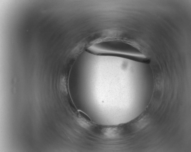 X0000060800575200511171245