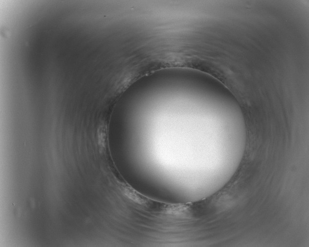 X0000060800576200511171245