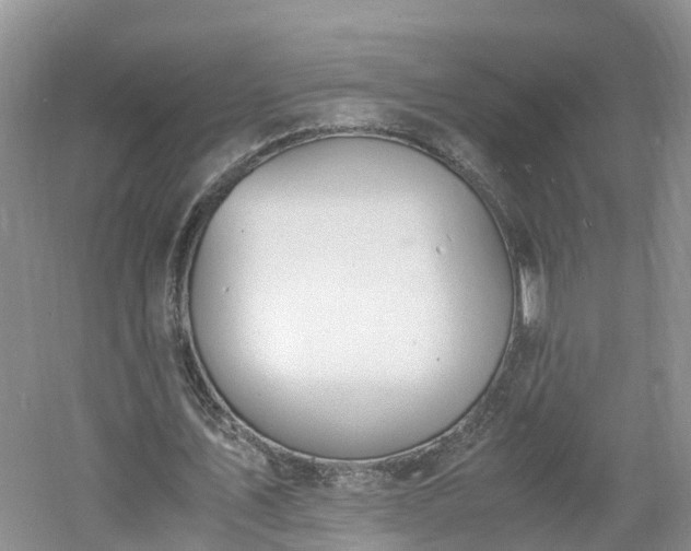 X0000060800579200511171244