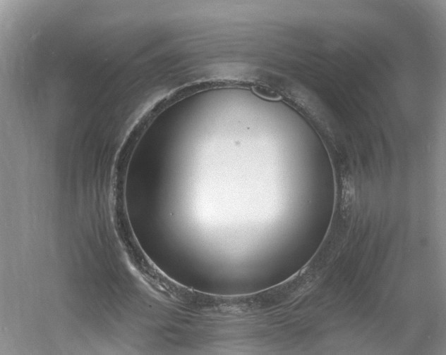 X0000060800580200511171244