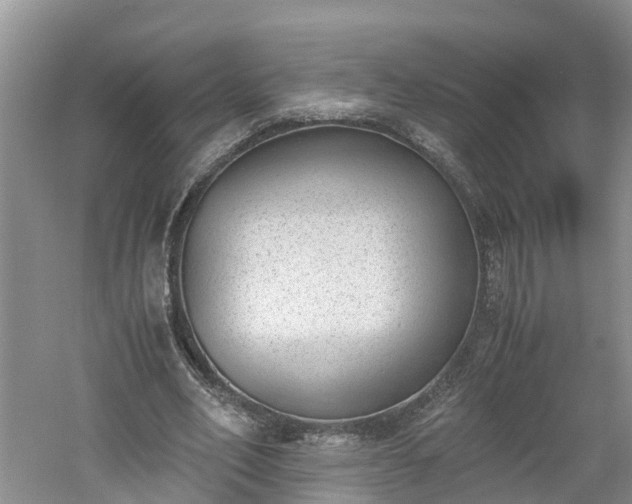 X0000060800582200511171244