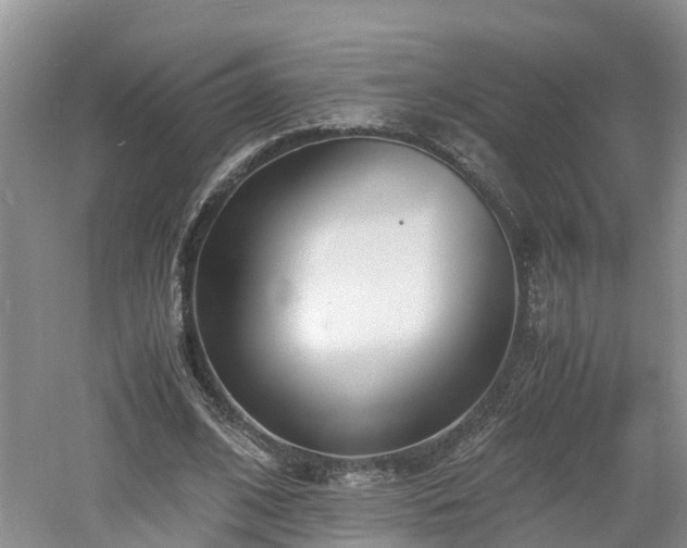 X0000060800584200511171244