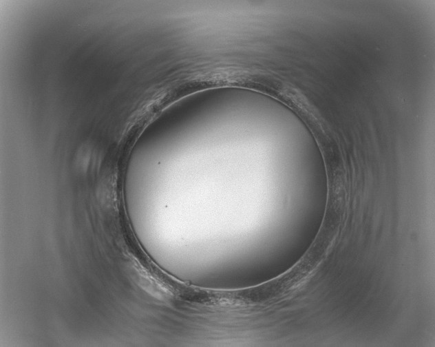 X0000060800585200511171244