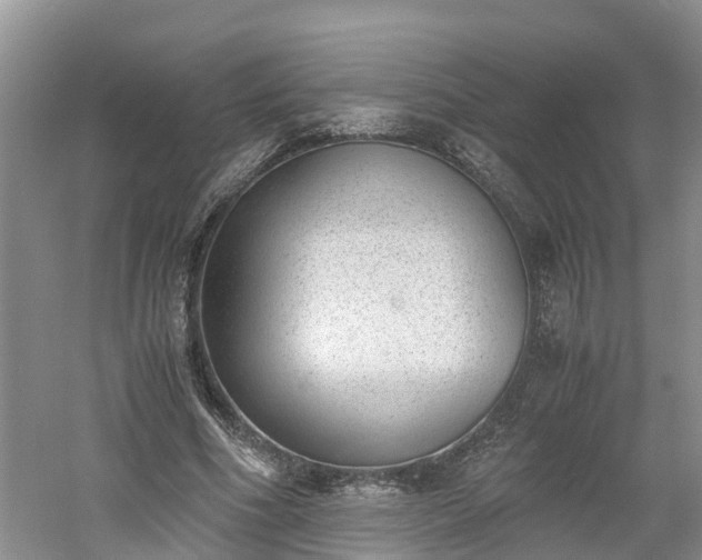 X0000060800586200511171244