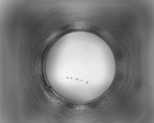 X0000060800587200511171244