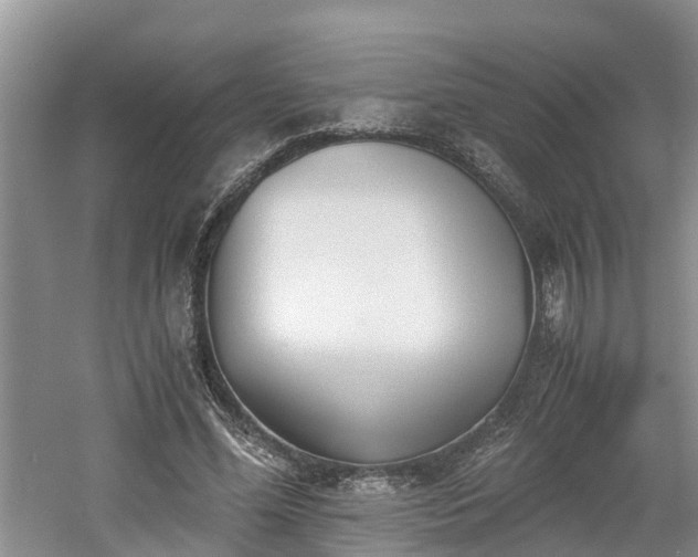 X0000060800588200511171244