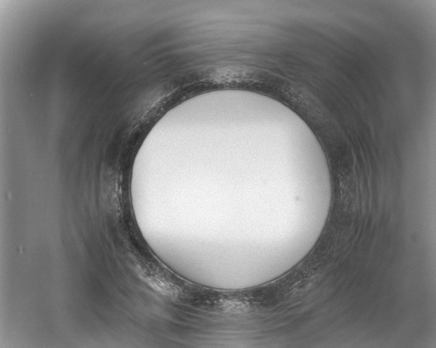 X0000060800592200511171244