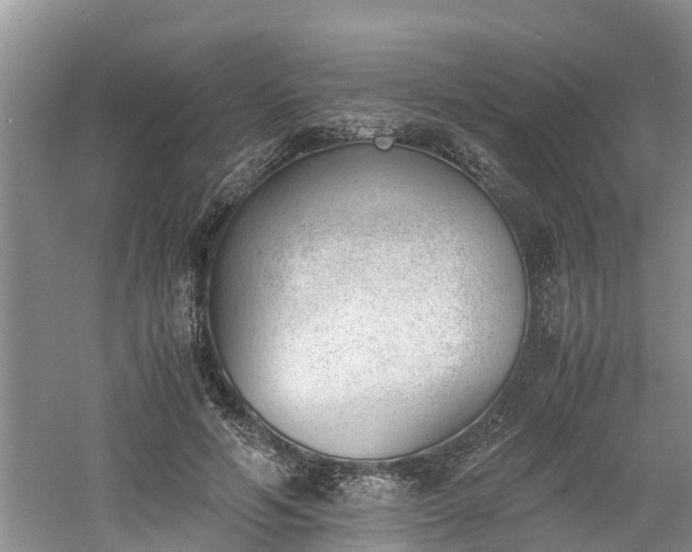 X0000060800594200511171244