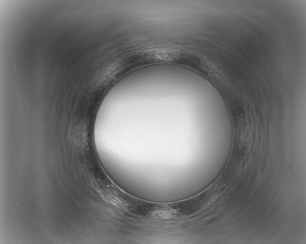 X0000060800595200511171244