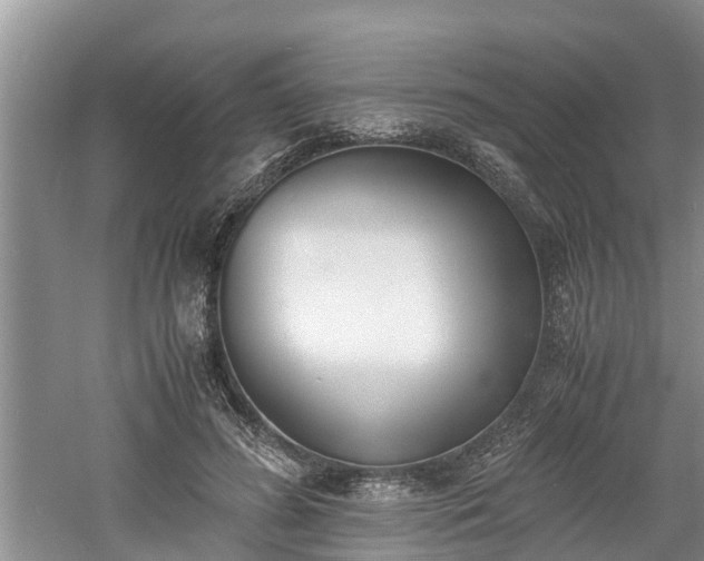 X0000060800596200511171244