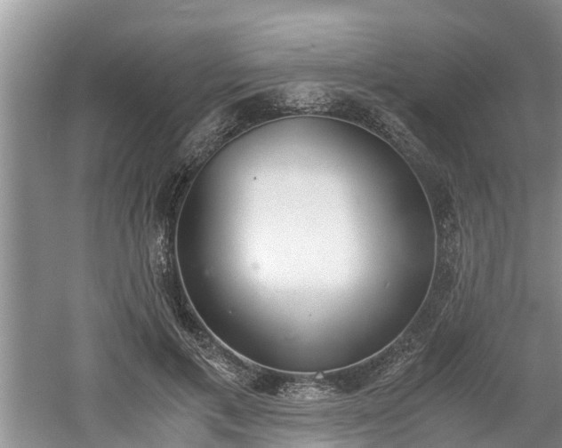 X0000060800597200511171244