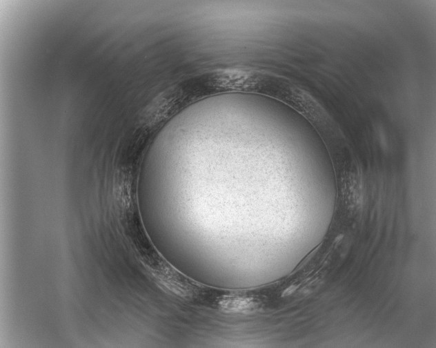 X0000060800602200511171243