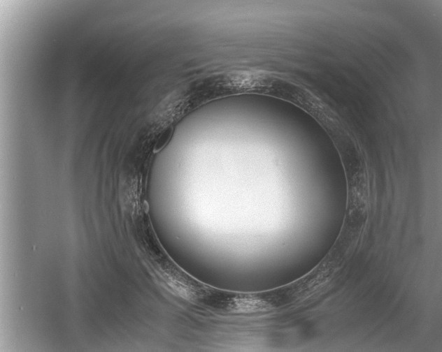 X0000060800605200511171243