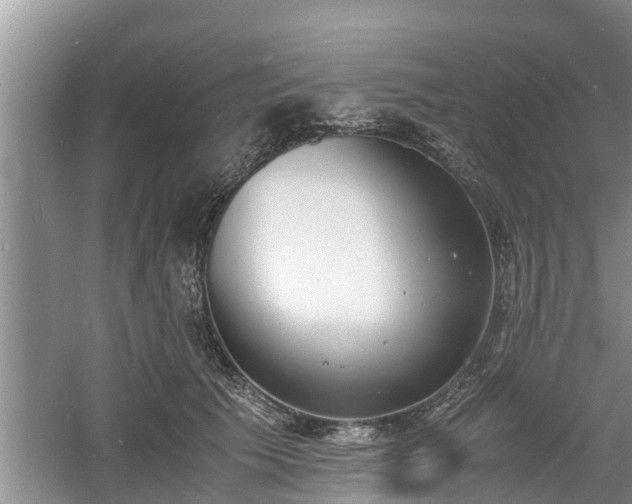 X0000060800609200511171243