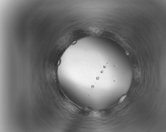 X0000060800613200511171243