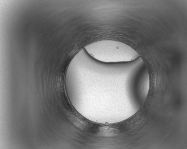 X0000060800614200511171243