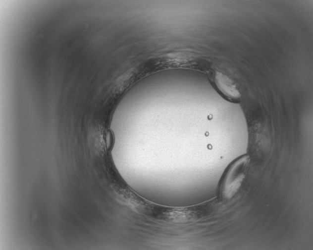 X0000060800615200511171243