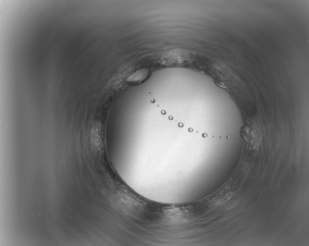 X0000060800616200511171243