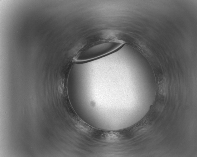 X0000060800618200511171243