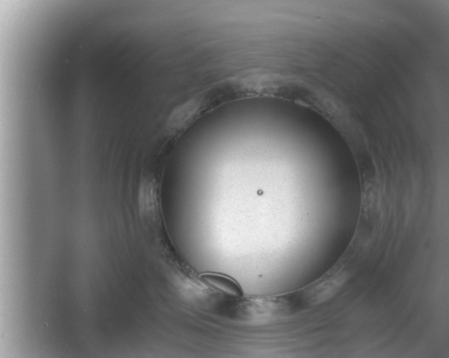 X0000060800623200511171243