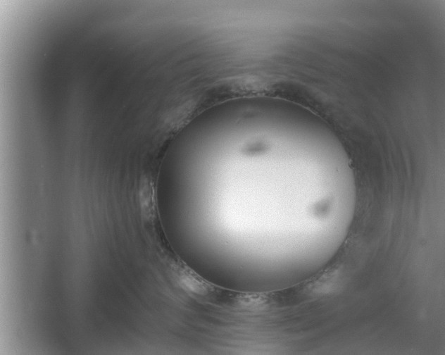 X0000060800624200511171243