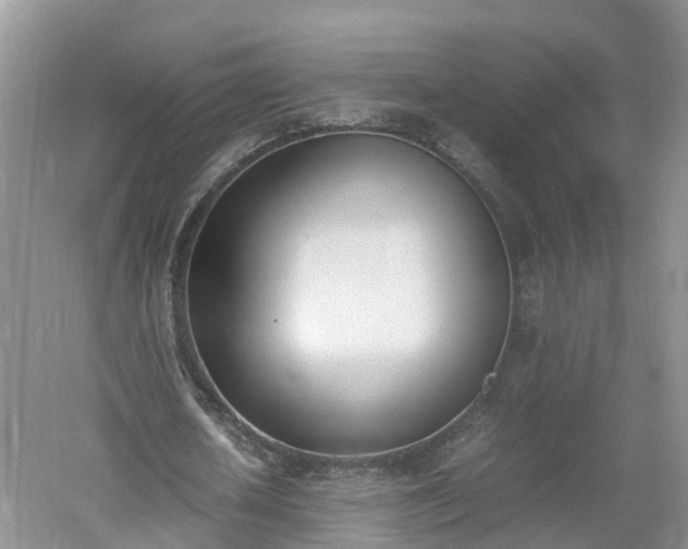 X0000060800626200511171242