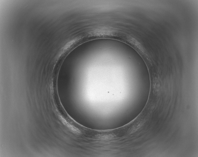 X0000060800629200511171242