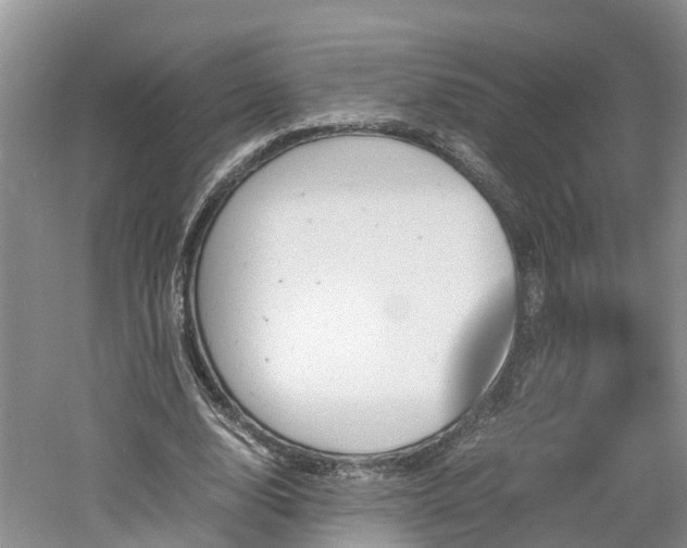 X0000060800632200511171242