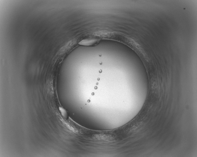 X0000060800633200511171242