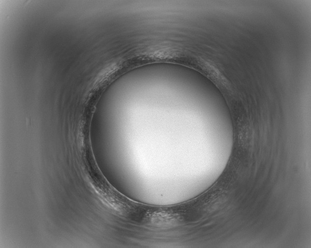 X0000060800635200511171242