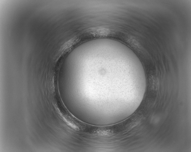 X0000060800638200511171243