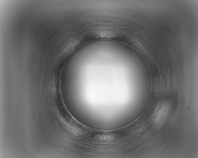 X0000060800639200511171243