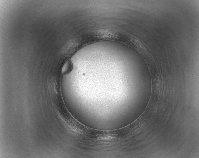 X0000060800643200511171243