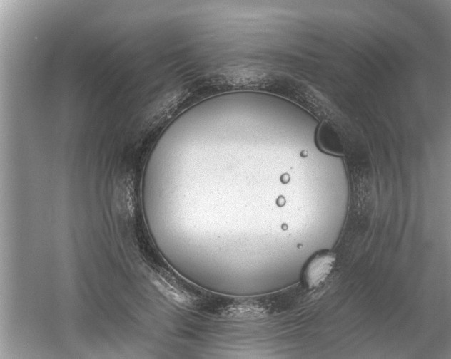 X0000060800644200511171243