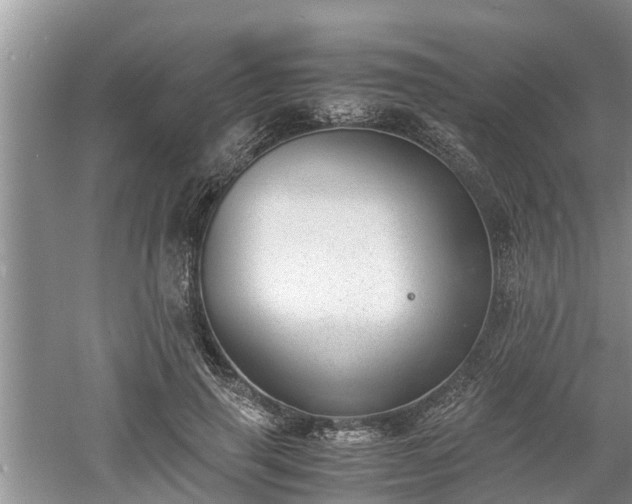 X0000060800645200511171243