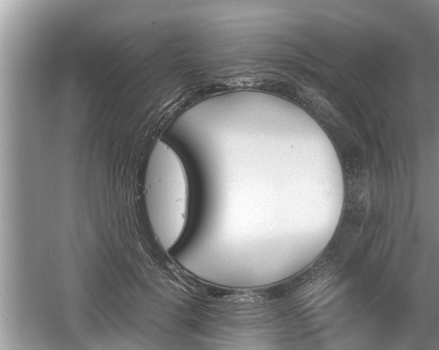 X0000060800652200511171243