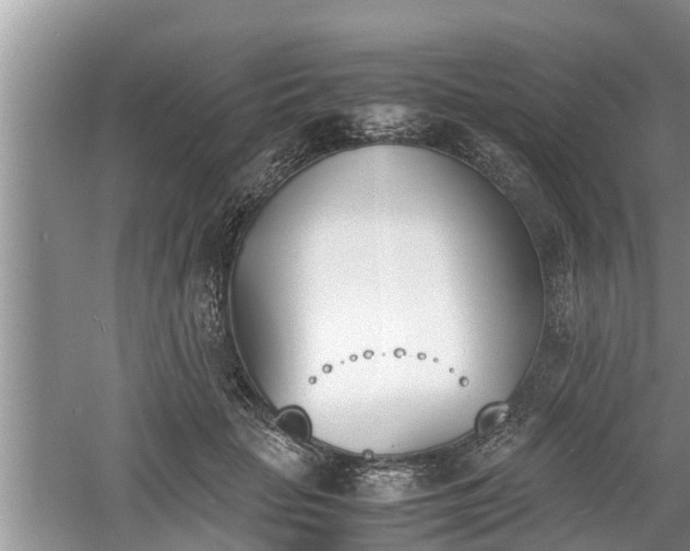 X0000060800653200511171243