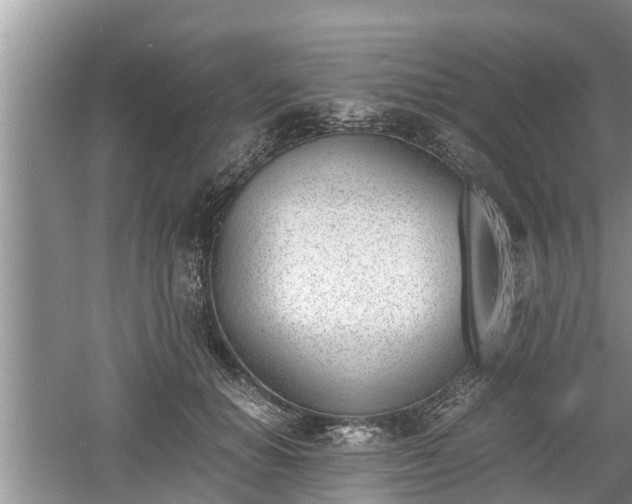 X0000060800654200511171243