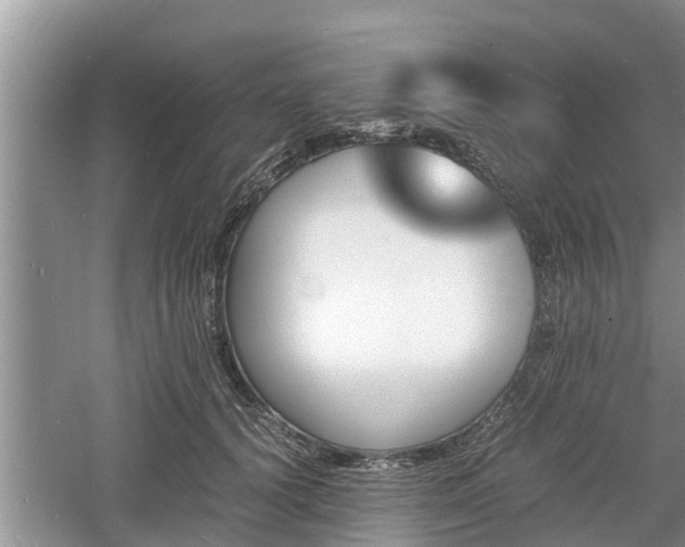 X0000060800656200511171243