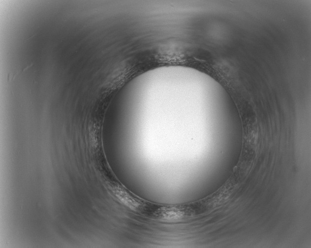 X0000060800658200511171243