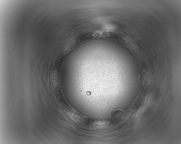 X0000060800659200511171243