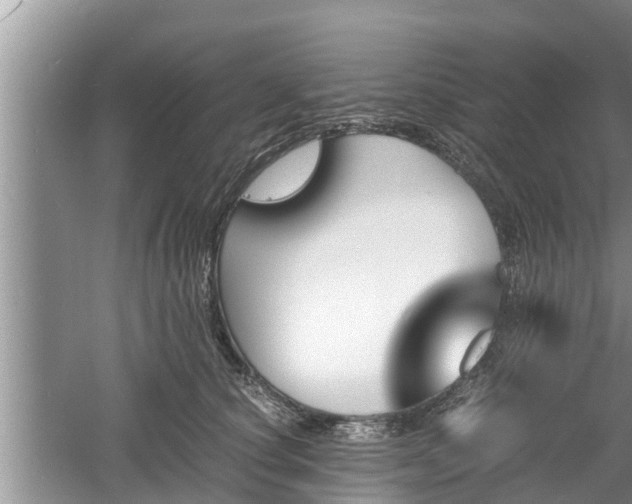 X0000060800660200511171243