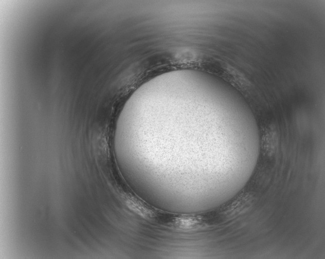 X0000060800662200511171243